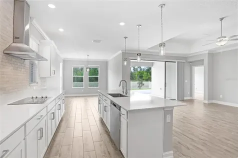 9912 Wild Begonia Loop Land O Lakes FL 34637
