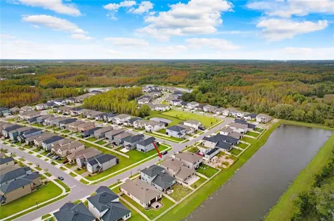 9912 Wild Begonia Loop Land O Lakes FL 34637