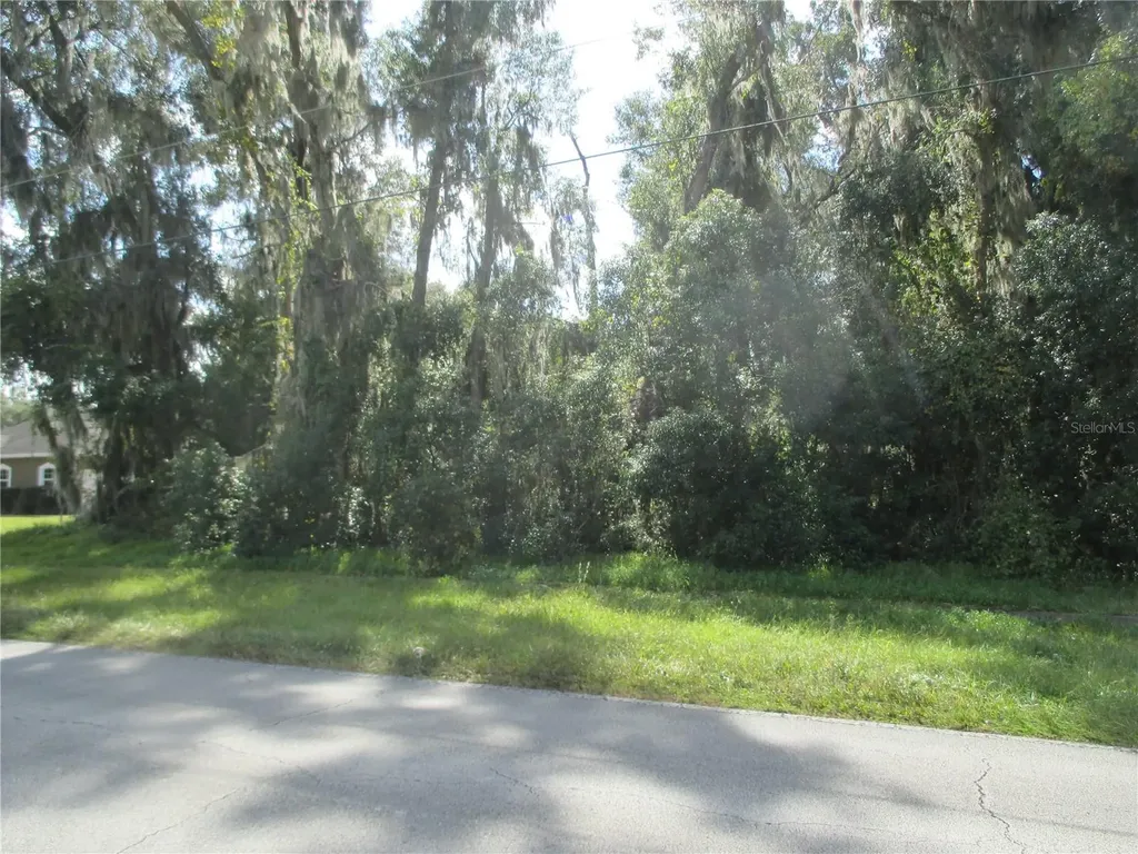 270 Mercers Fernery Road Deland FL 32720