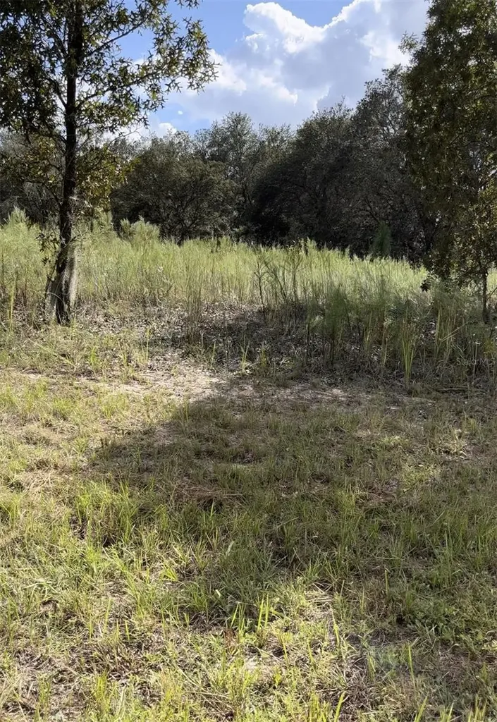 1656 W Hampshire Boulevard Citrus Springs FL 34434