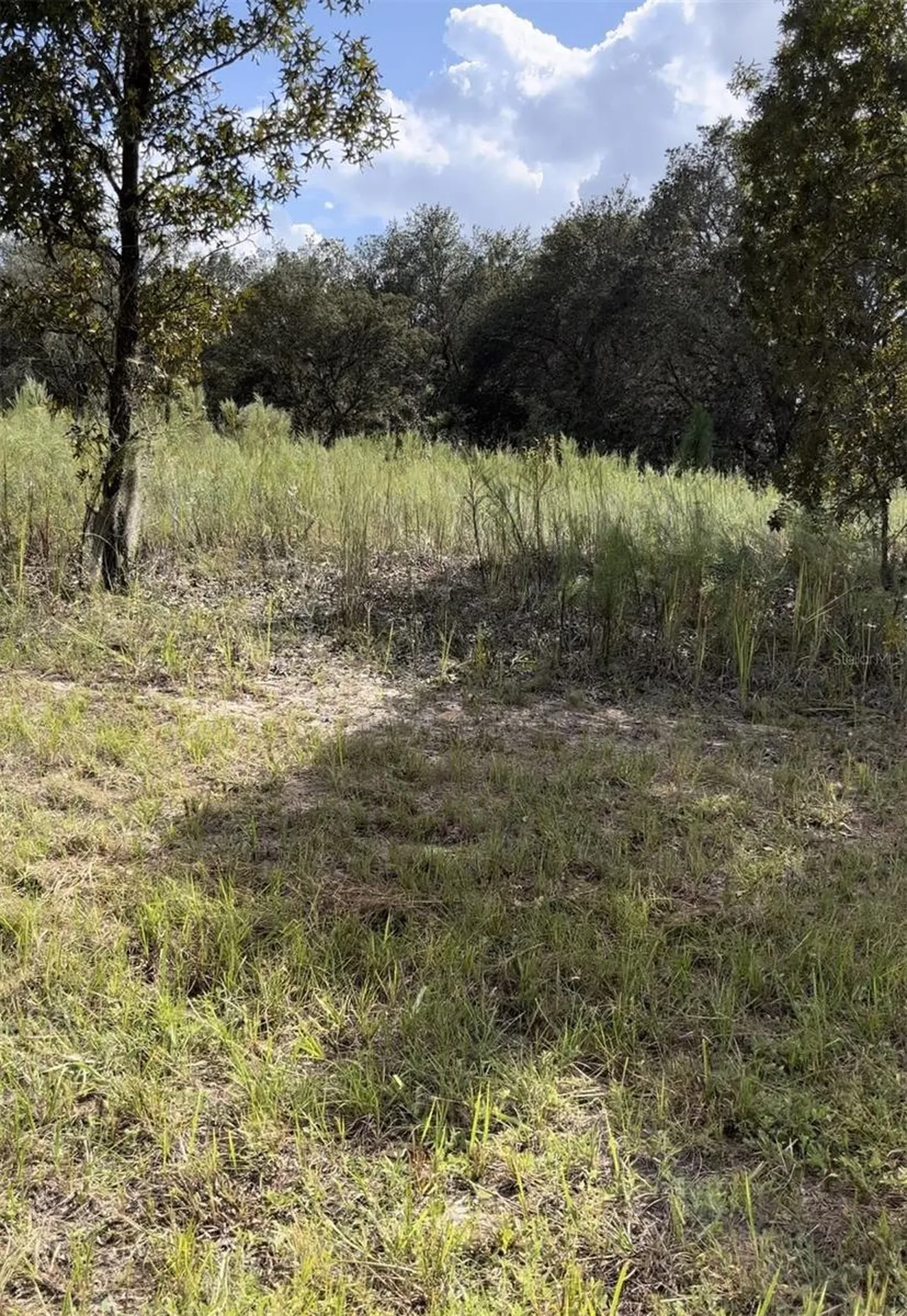 1656 W Hampshire Boulevard Citrus Springs FL 34434