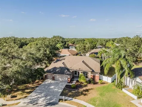 4010 Canter Court Valrico FL 33596