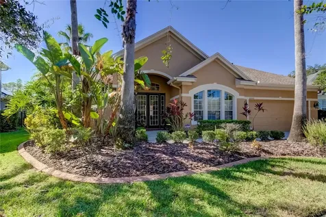 10448 Greendale Drive Tampa FL 33626