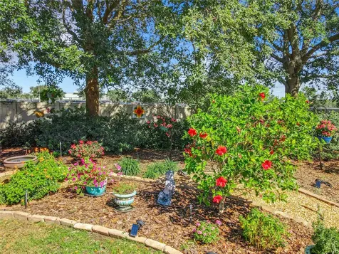 10037 Stockbridge Street Clermont FL 34711