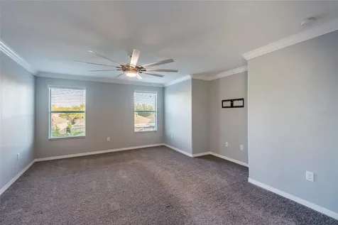 3893 Tuckerton Drive Land O Lakes FL 34638