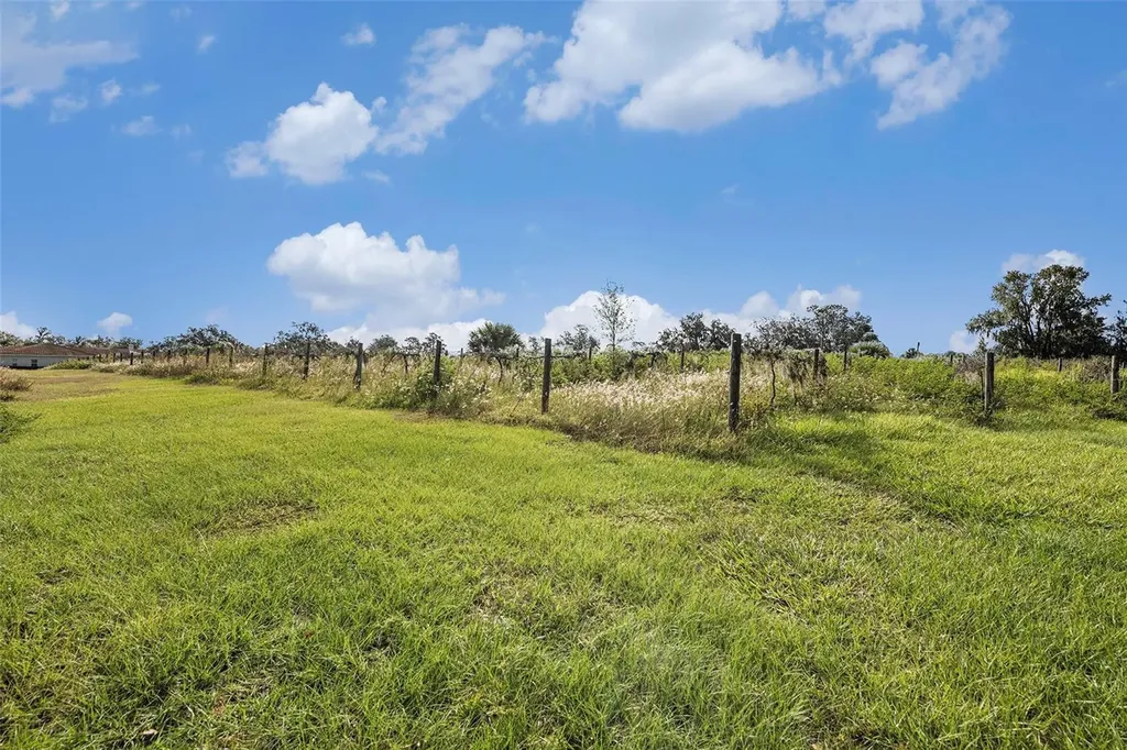 331 Lewis Road Lithia FL 33547