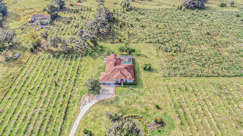 331 Lewis Road Lithia FL 33547