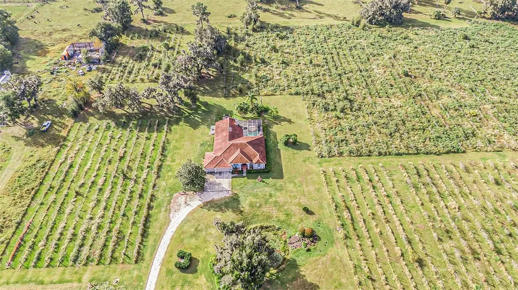 331 Lewis Road Lithia FL 33547