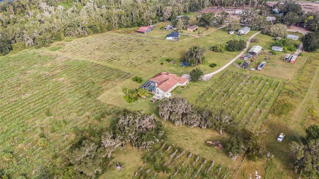 331 Lewis Road Lithia FL 33547