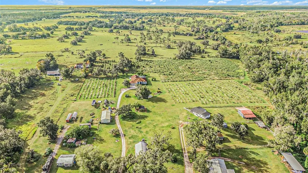 331 Lewis Road Lithia FL 33547