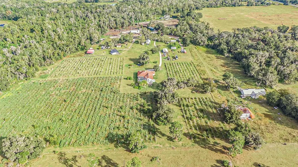 331 Lewis Road Lithia FL 33547