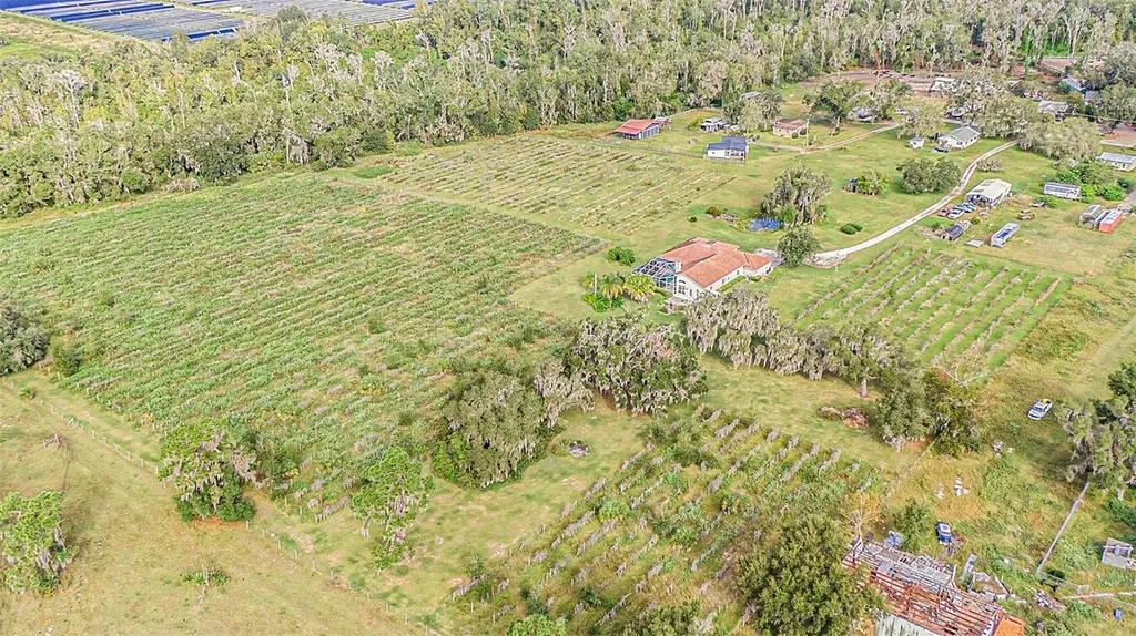 331 Lewis Road Lithia FL 33547