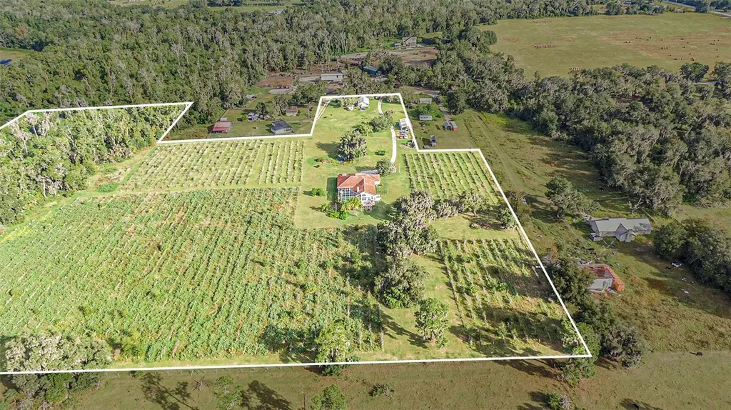 331 Lewis Road Lithia FL 33547