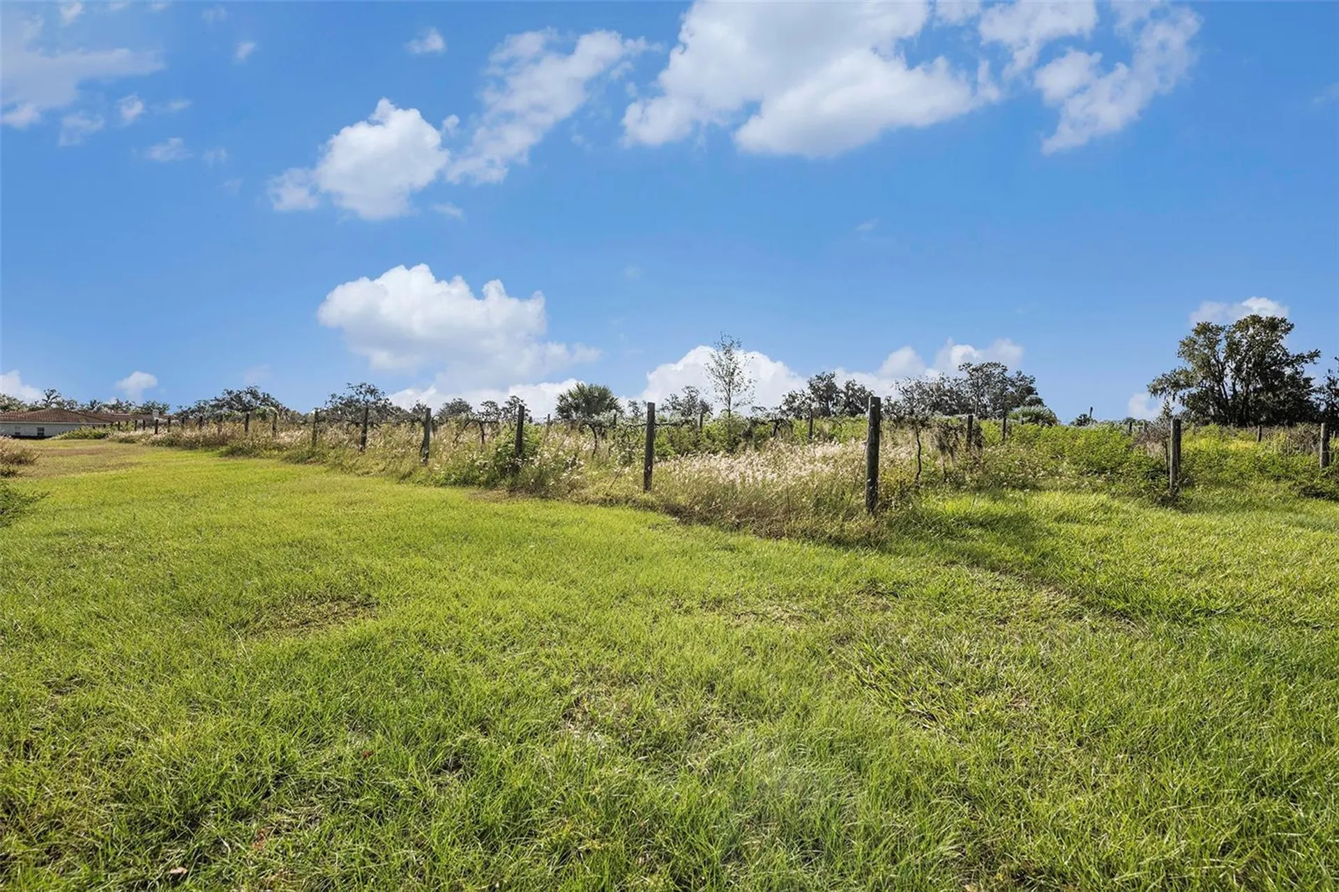 331 Lewis Road Lithia FL 33547