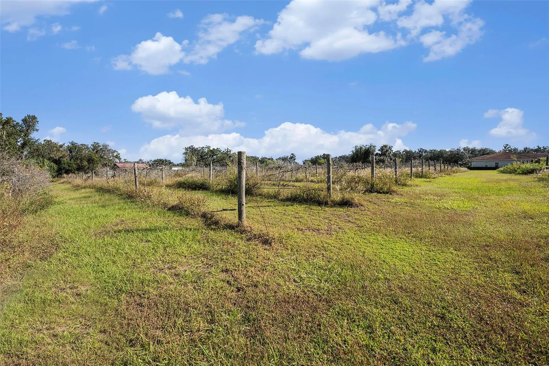 331 Lewis Road Lithia FL 33547
