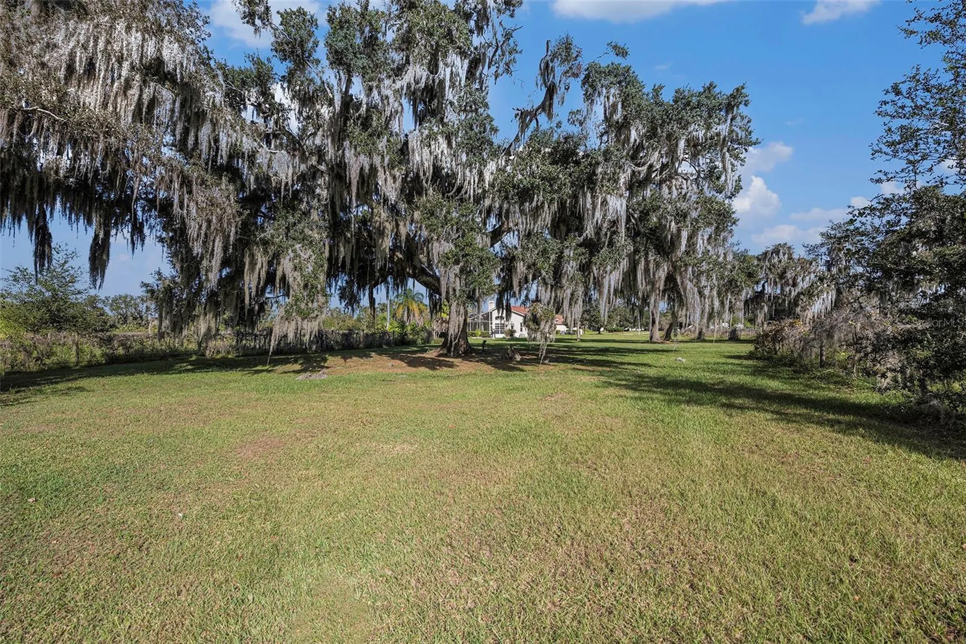 331 Lewis Road Lithia FL 33547