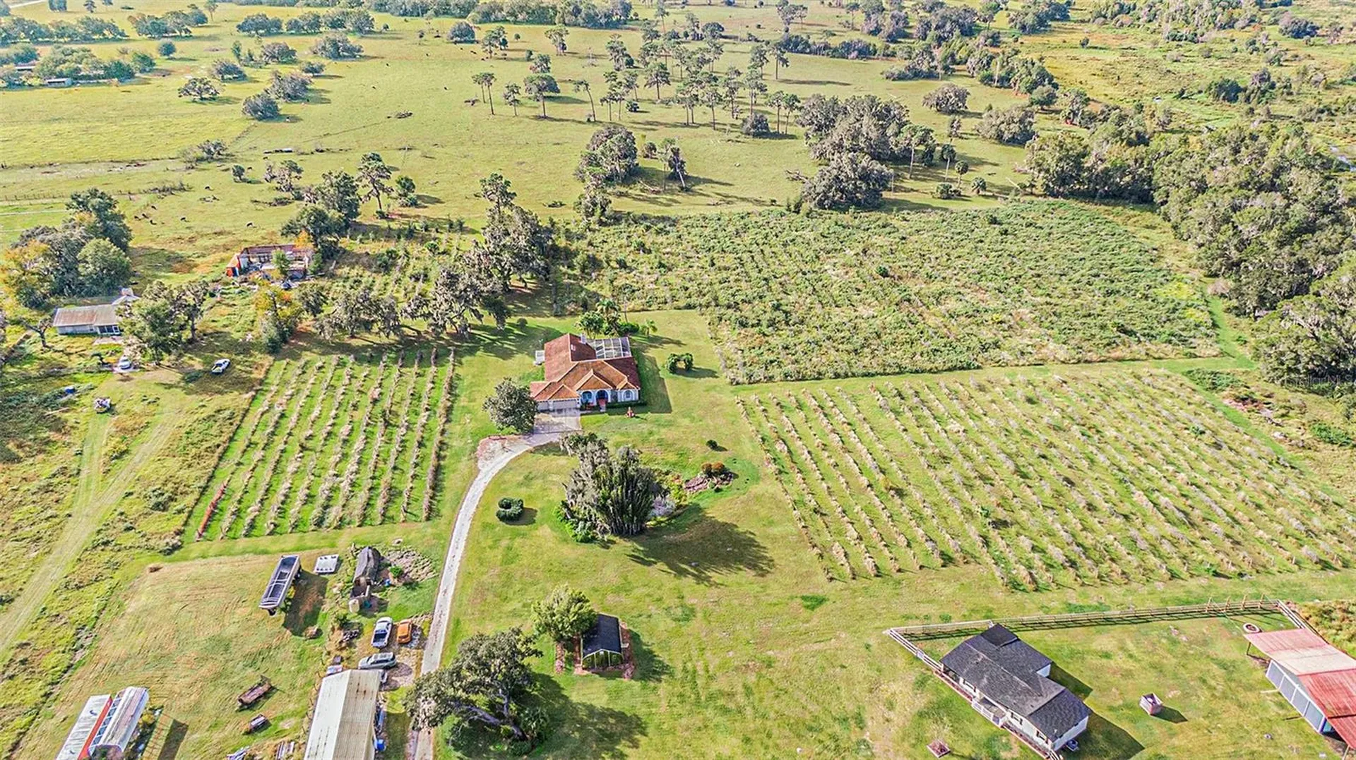 331 Lewis Road Lithia FL 33547