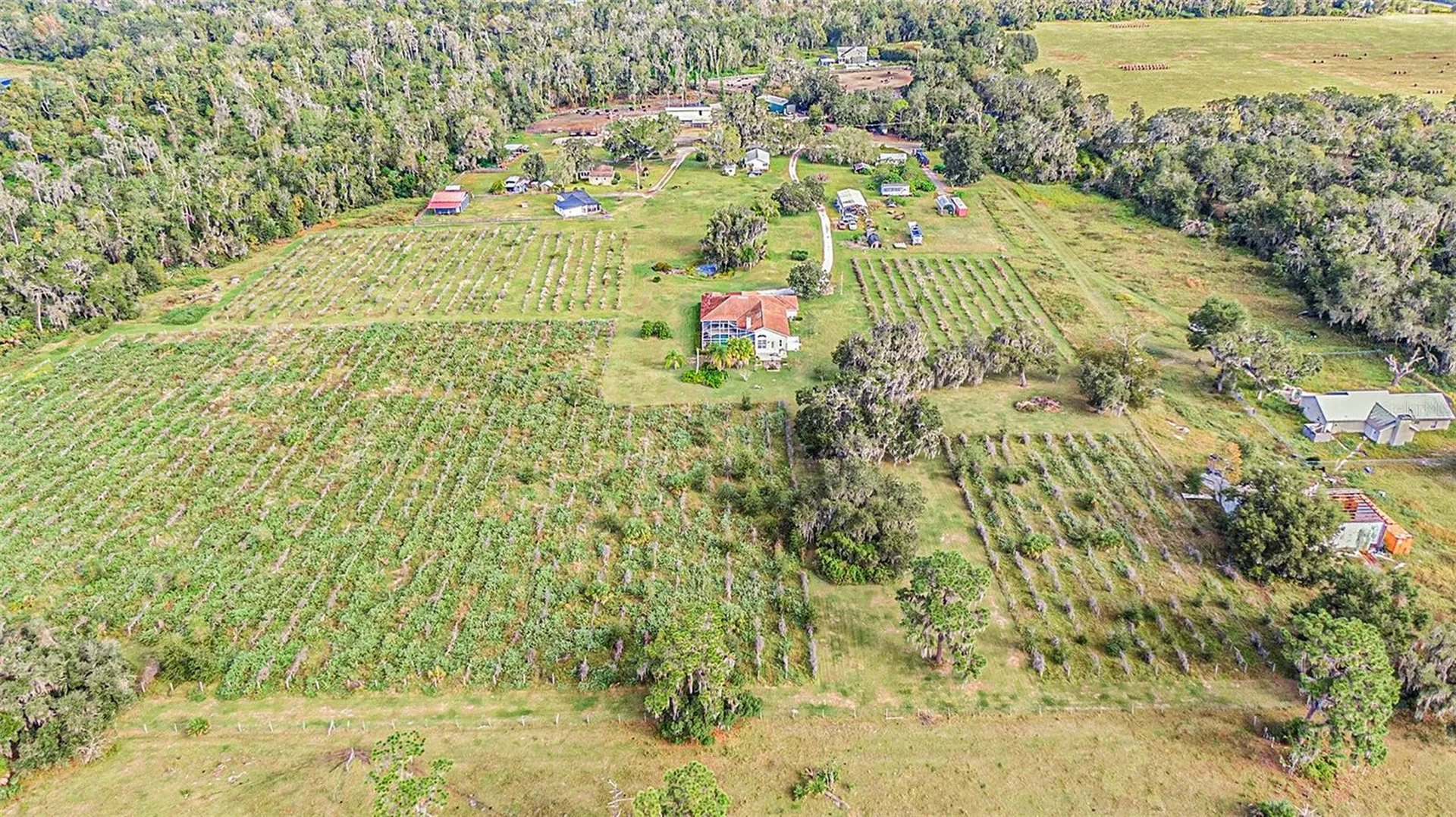 331 Lewis Road Lithia FL 33547
