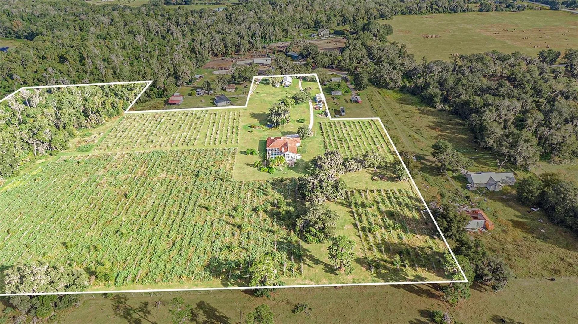 331 Lewis Road Lithia FL 33547