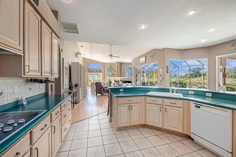 331 Lewis Road Lithia FL 33547