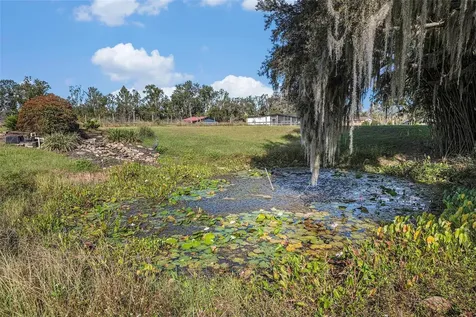 331 Lewis Road Lithia FL 33547