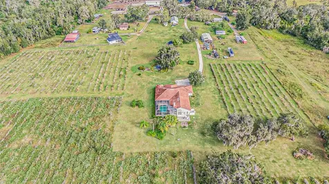 331 Lewis Road Lithia FL 33547