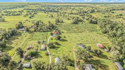 331 Lewis Road Lithia FL 33547
