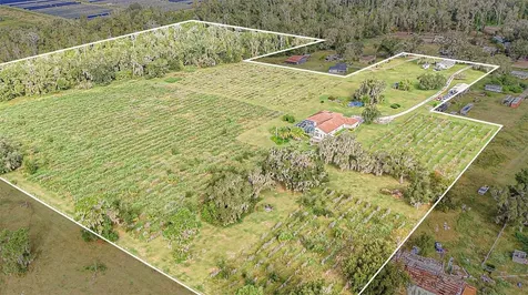 331 Lewis Road Lithia FL 33547