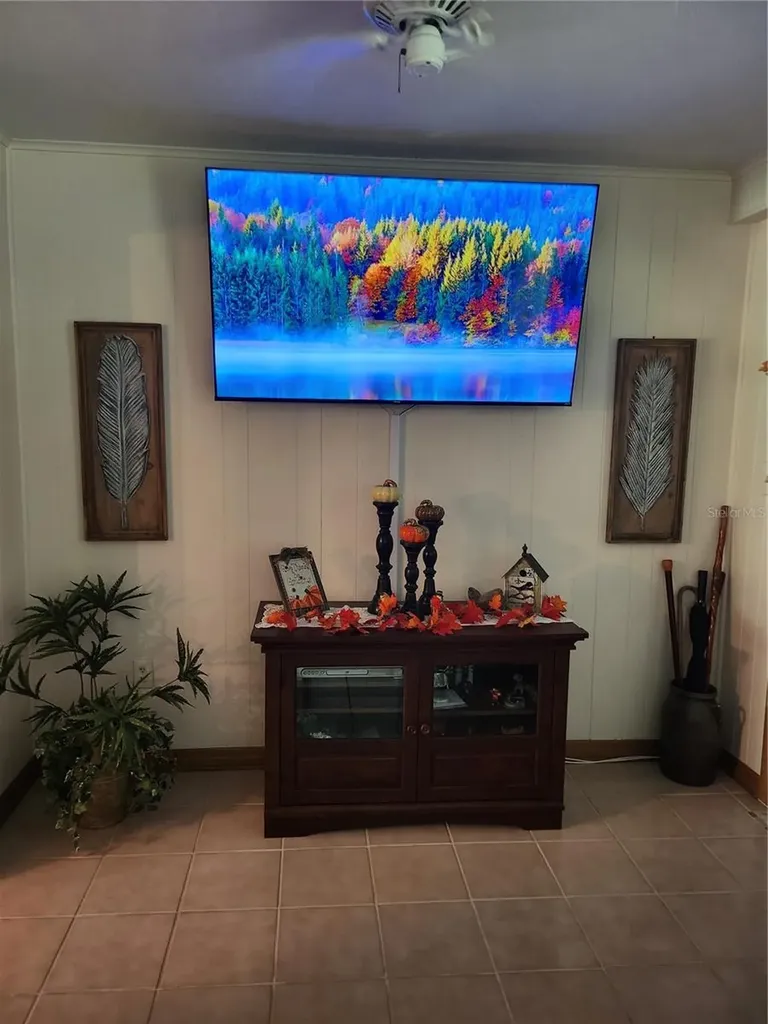 411 Bryan Road Brandon FL 33511