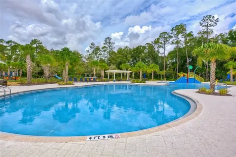 17824 Moon Rise Pass Land O Lakes FL 34638