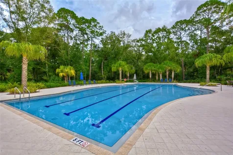 17824 Moon Rise Pass Land O Lakes FL 34638