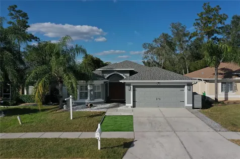 30607 Midtown Court Wesley Chapel FL 33545