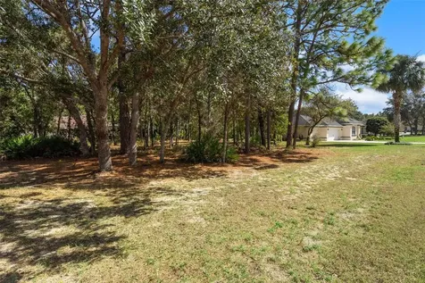 3 Gypsophila Court Homosassa FL 34446