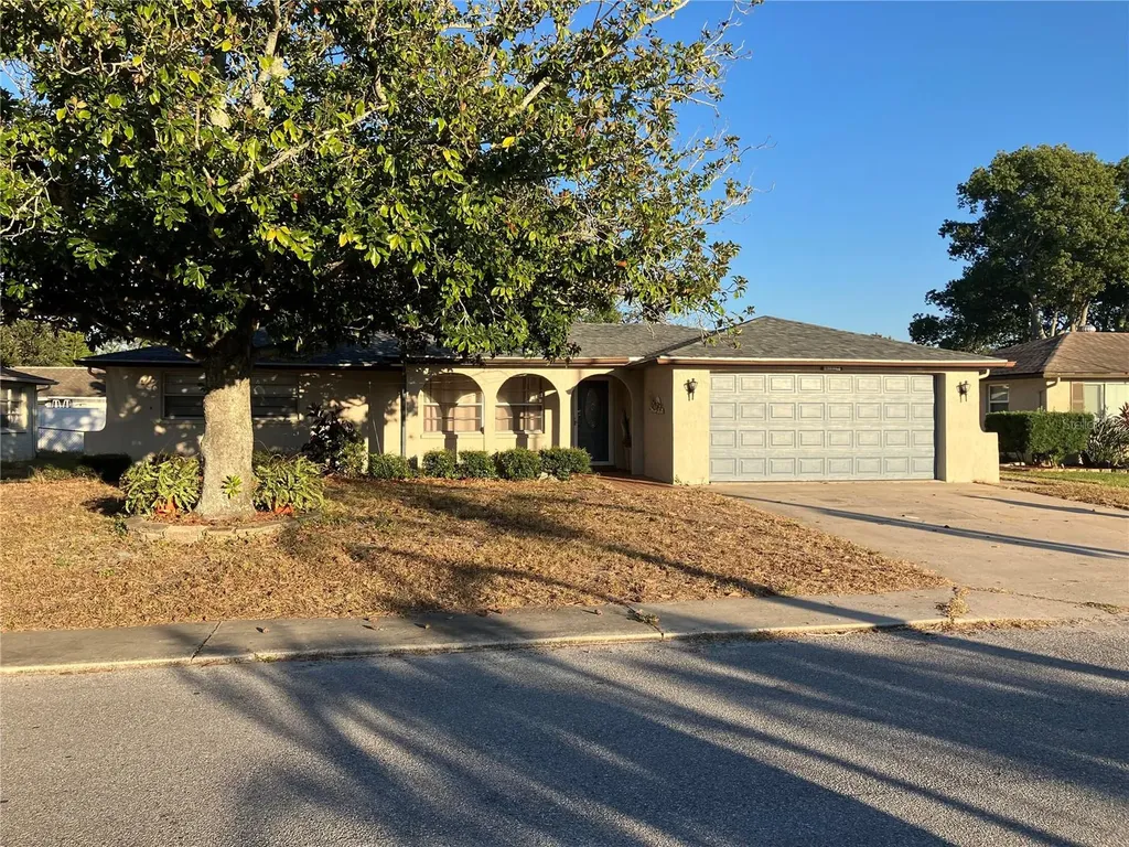 11624 Constance Drive Port Richey FL 34668