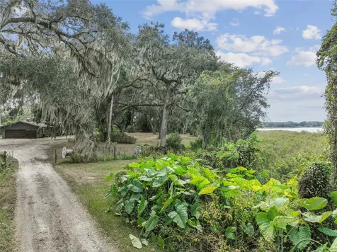 4356 Lindsey Loop Dover FL 33527