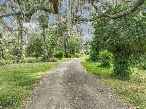 4356 Lindsey Loop Dover FL 33527