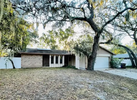 3738 Southview Drive Brandon FL 33511