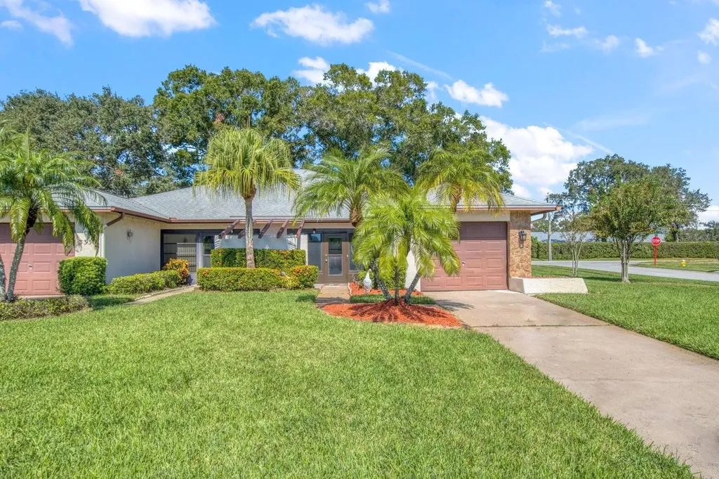 3337 Gorse Court Palm Harbor FL 34684