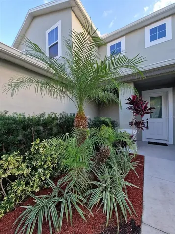 3224 W Price Avenue Tampa FL 33611
