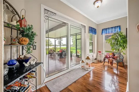 6447 Fletch Road Land O Lakes FL 34637