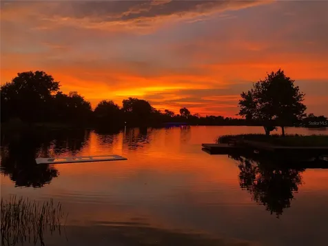 6447 Fletch Road Land O Lakes FL 34637