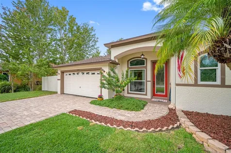 6447 Fletch Road Land O Lakes FL 34637