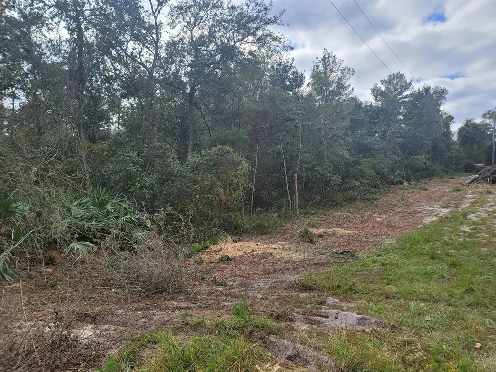 Cooter Pond Road Deland FL 32720