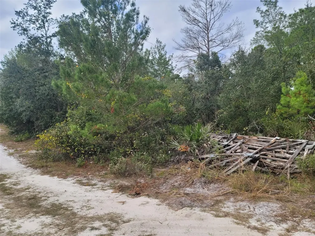 Cooter Pond Road Deland FL 32720