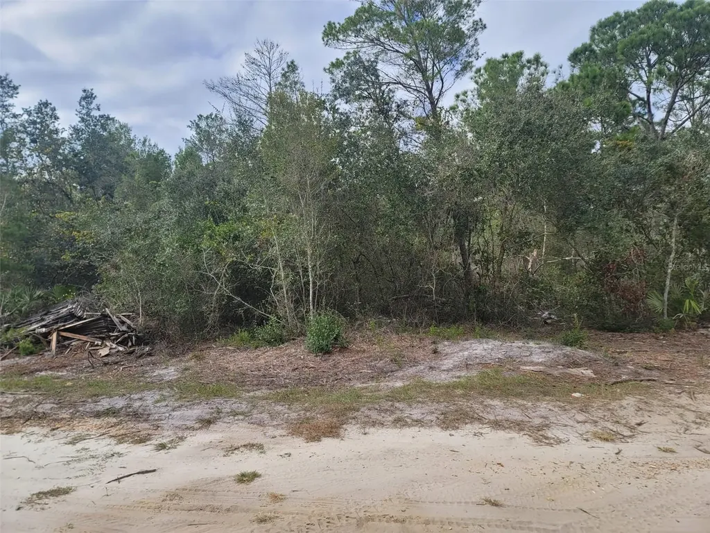Cooter Pond Road Deland FL 32720