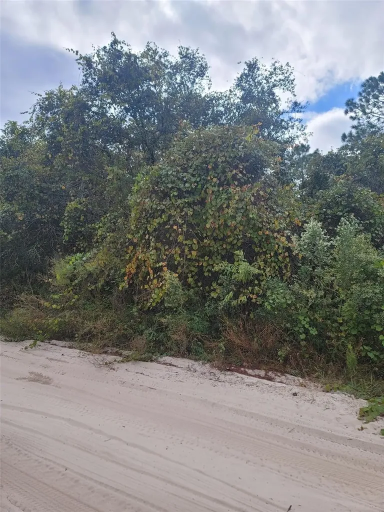 Cooter Pond Road Deland FL 32720