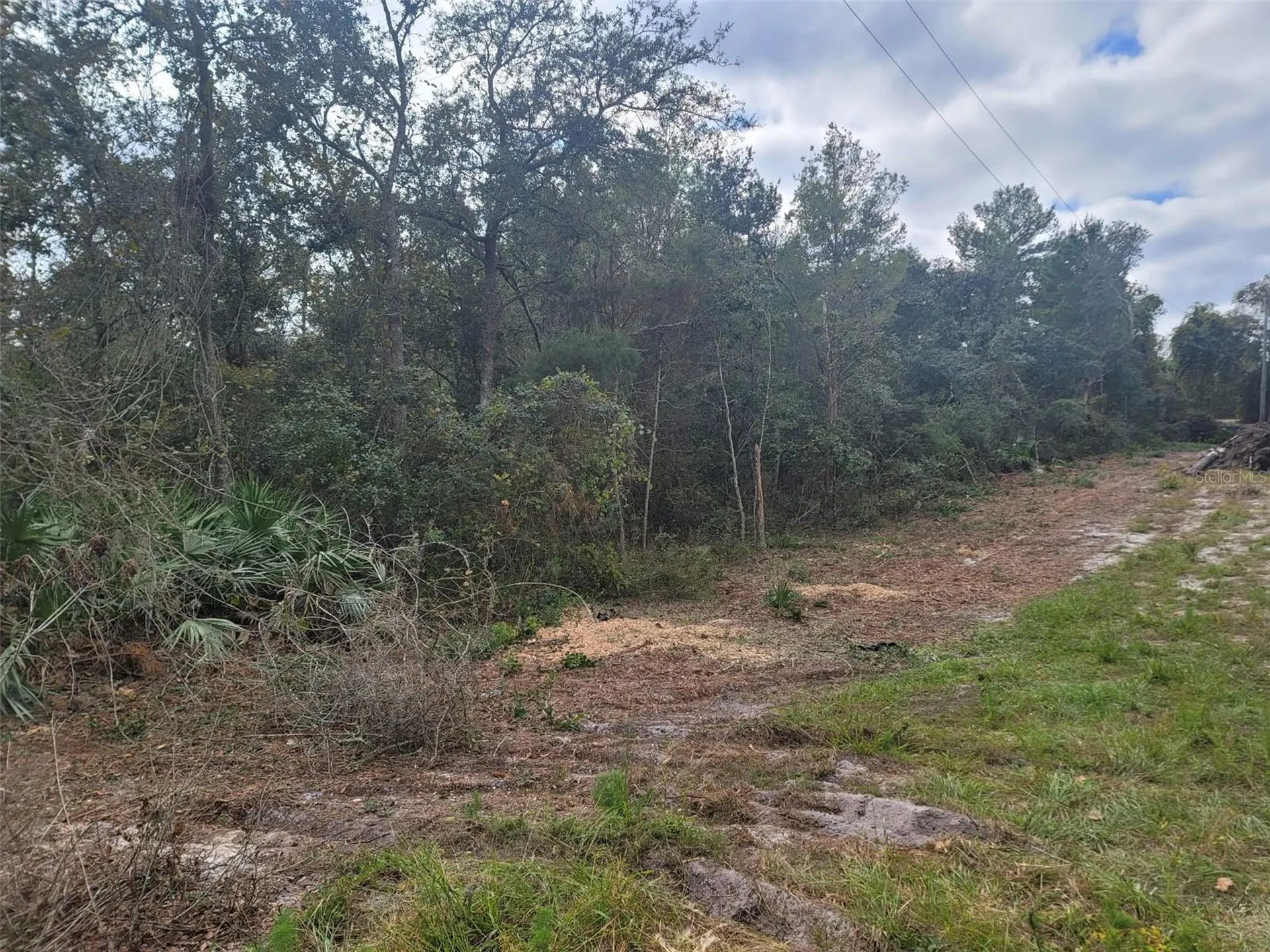 Cooter Pond Road Deland FL 32720