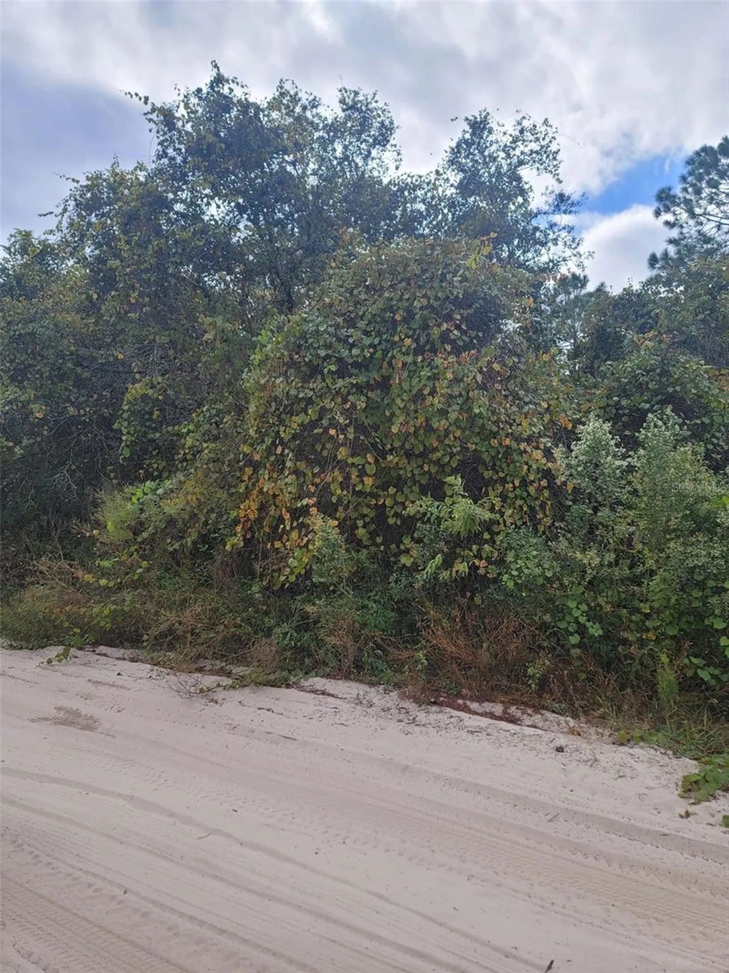 Cooter Pond Road Deland FL 32720