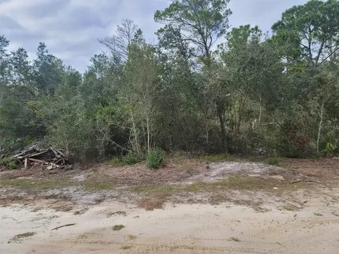 Cooter Pond Road Deland FL 32720