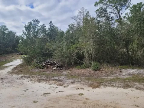 Cooter Pond Road Deland FL 32720